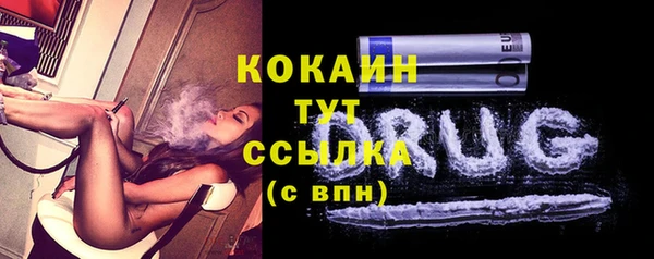 альфа пвп Няндома