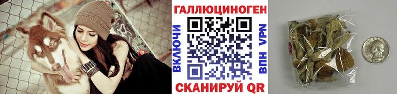 Псилоцибиновые грибы прущие грибы  Слюдянка 